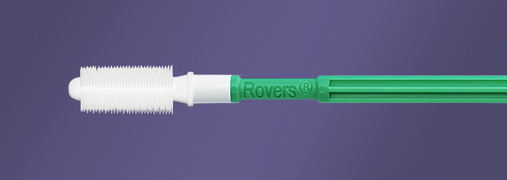 Rovers® Anex® Brush sterile 100 pcs